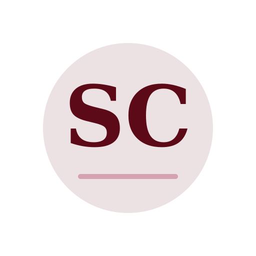 Stein Chimney Repair logo